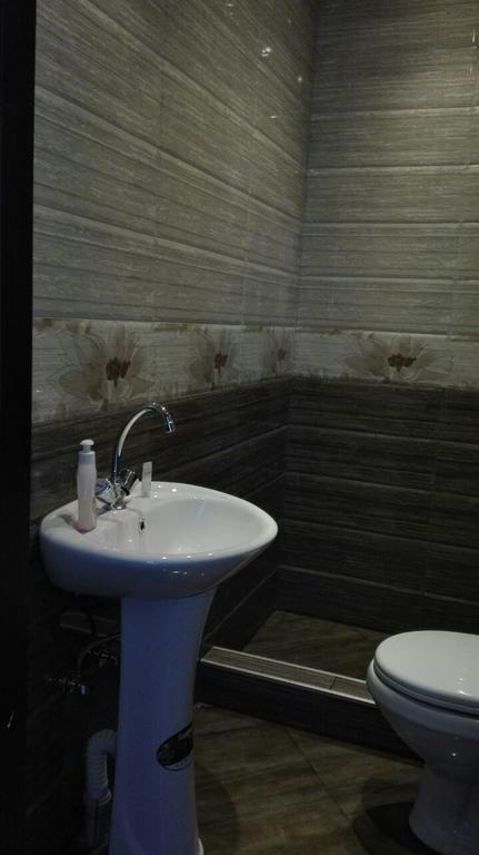 Goga Guesthouse 西格纳吉 外观 照片