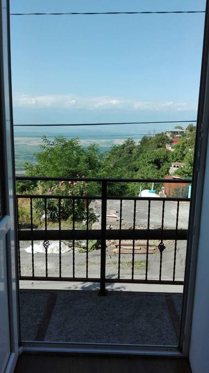 Goga Guesthouse 西格纳吉 外观 照片