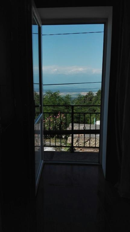 Goga Guesthouse 西格纳吉 外观 照片