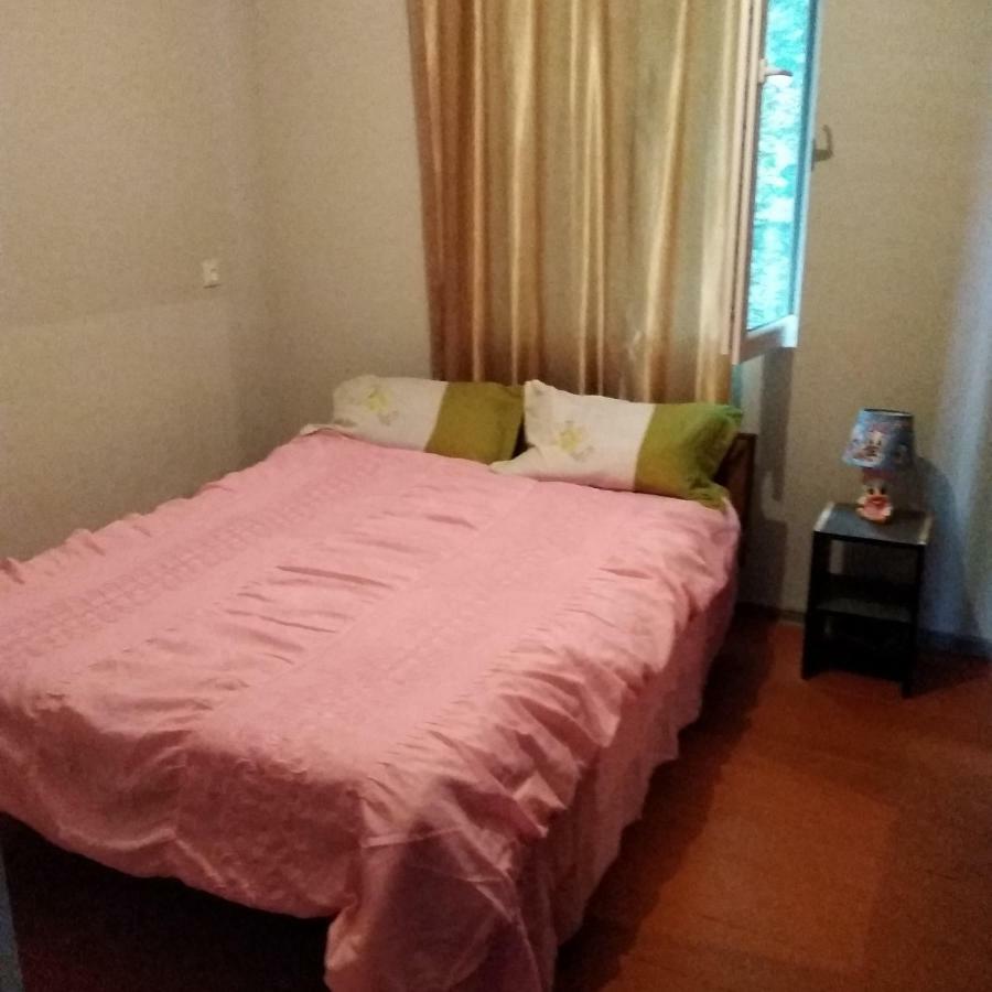 Goga Guesthouse 西格纳吉 外观 照片